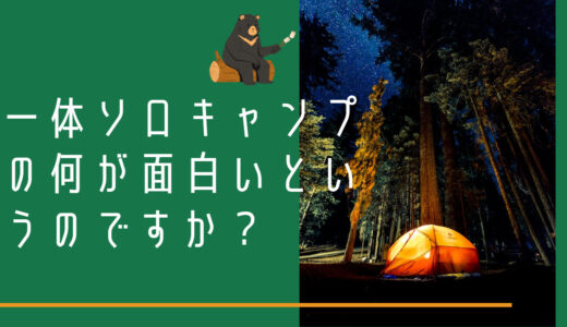 いったいソロキャンプの何が面白いというのですか？